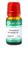 ANACARDIUM ORIENTALE LM 18 Dilution